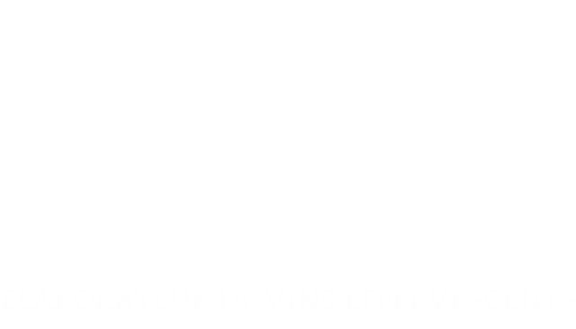 logo Varechon Didier